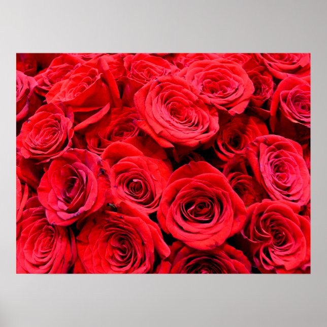 Rote Rose elegantes Foto mit rotem Blumenmotiv Mom Poster (Vorne)