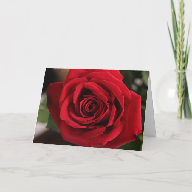 Rote Rose Feiertagskarte (Vorderseite)