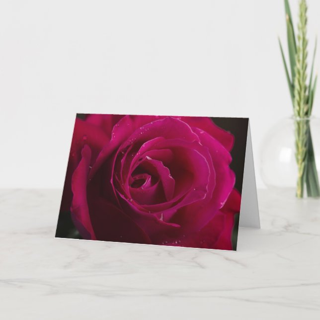 Rote Rose Feiertagskarte (Vorderseite)