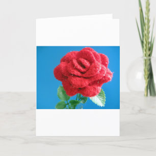 Rote Rose Feiertagskarte
