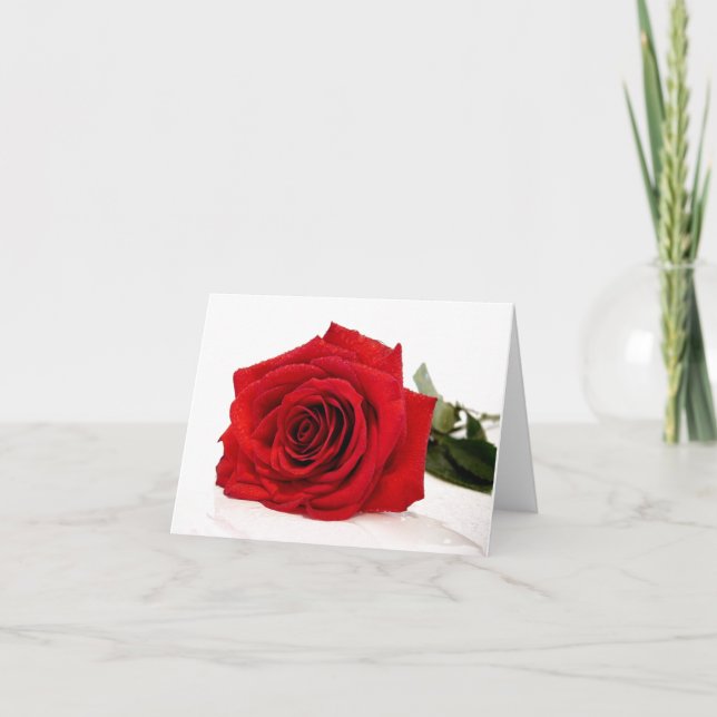 Rote Rose Feiertagskarte (Vorderseite)
