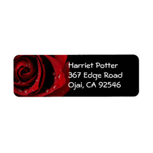 Rote Rose Fine Art