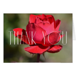 Rote Rose Floral Vielen Dank