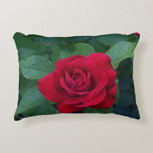 Rote Rose Foto Dekokissen