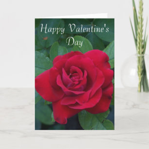 Rote Rose Foto Feiertagskarte