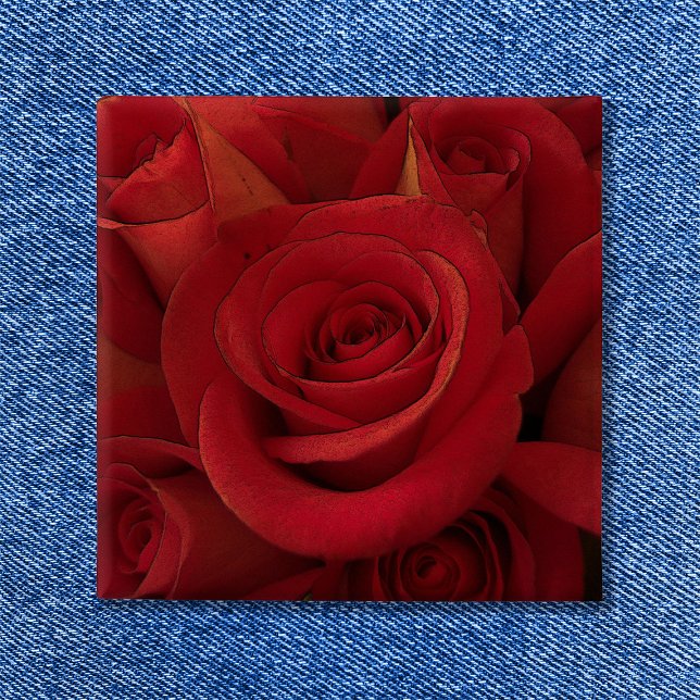 Rote Rose Foto Kunst Button (Red Rose Photo Art Button Square Shape
)