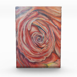 Rote Rose Fotoblock
