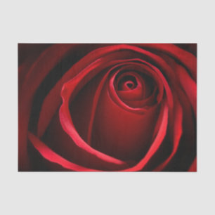 Rote Rose für das 10lb-Gewebepapier, weiß Seidenpapier