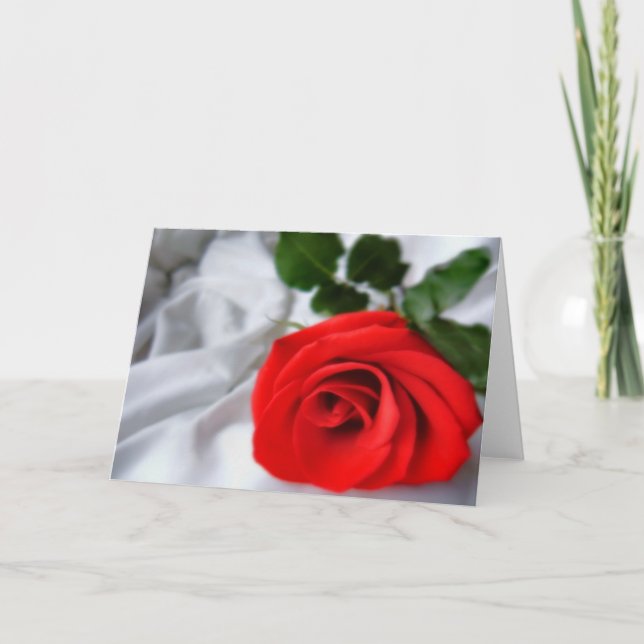 Rote Rose für Sie Karte (Vorderseite)