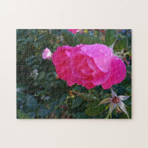 Rote Rose Garden Blume Puzzle