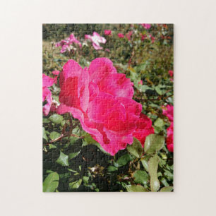 Rote Rose Garden Blume Puzzle