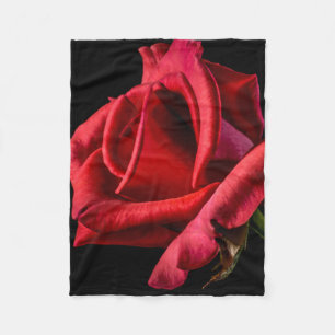 Rote Rose gegen schwarzen Hintergrund Fleecedecke