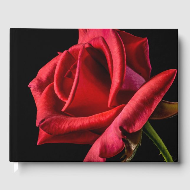 Rote Rose gegen schwarzen Hintergrund Gästebuch (Vorderseite)