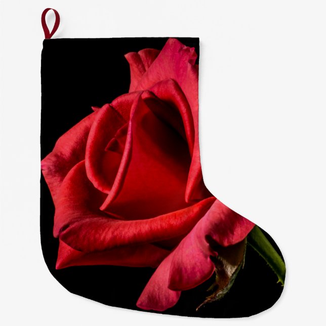Rote Rose gegen schwarzen Hintergrund Großer Weihnachtsstrumpf (Vorderseite)