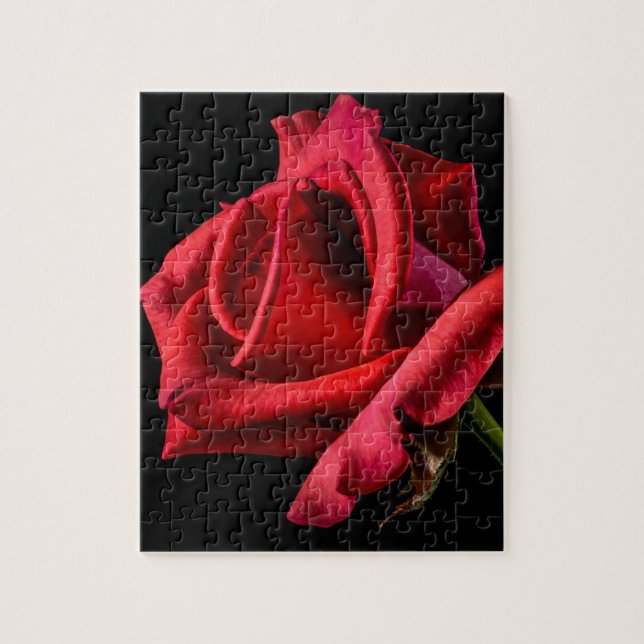 Rote Rose gegen schwarzen Hintergrund Puzzle (Vertikal)