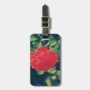 Rote Rose Gepäckanhänger