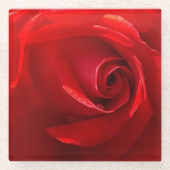 Rote Rose Glass Untersetzer (Vorderseite)
