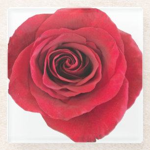 rote Rose Glass Untersetzer