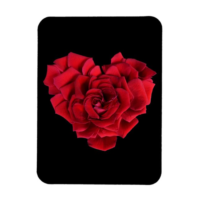 Rote Rose Heart Black Magnet (Vertikal)