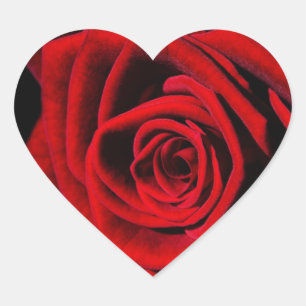 Rote Rose Heart Stickers und Umschlag Aufkleber