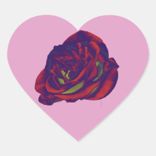 Rote Rose Herz-Aufkleber