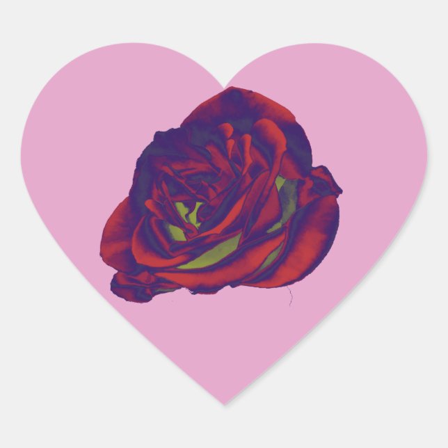 Rote Rose Herz-Aufkleber (Vorderseite)