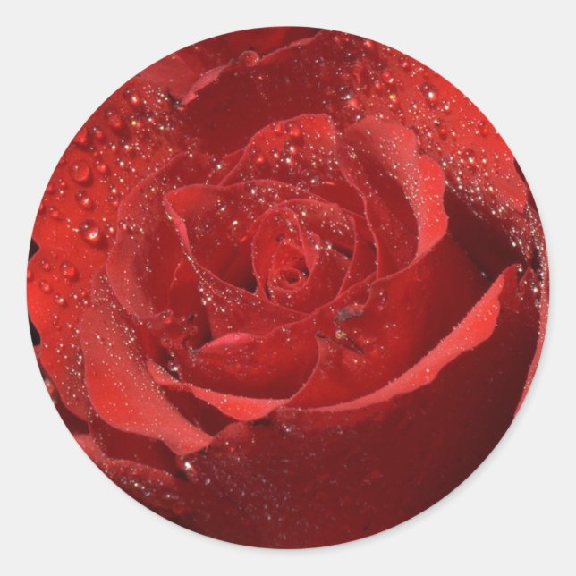 Rote Rose Hochzeitsticker und Umschlag Aufkleber (Vorderseite)