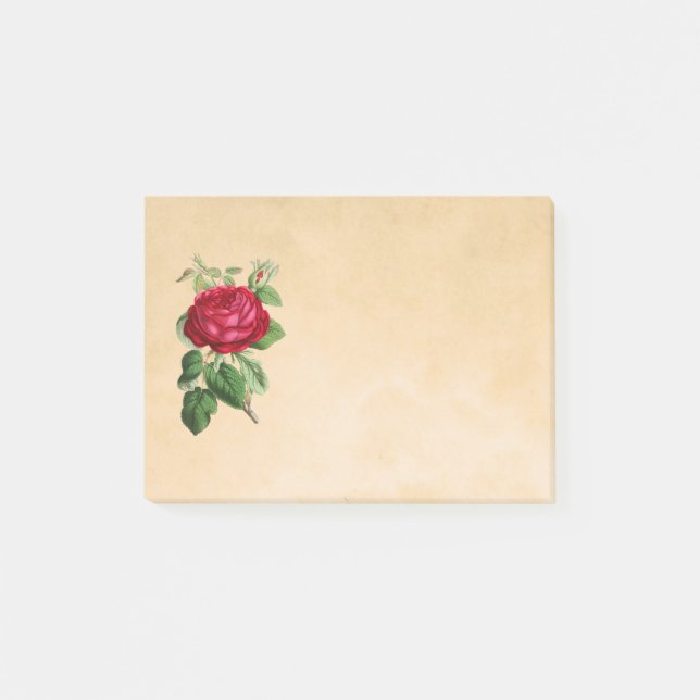 Rote Rose-Illustration auf einem Tan-Hintergrund Post-it Klebezettel (Vorderseite)