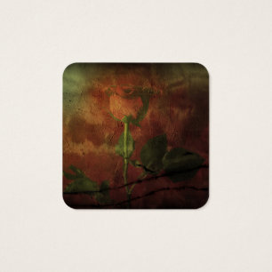 Rote Rose im Hintergrund