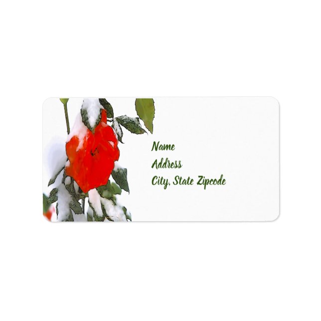 Rote Rose im Schnee Adressaufkleber (Vorne)