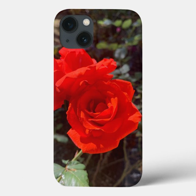 Rote Rose iPhone 13 Fall Case-Mate iPhone Hülle (Rückseite)