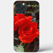 Rote Rose iPhone 13 Pro Max Fall