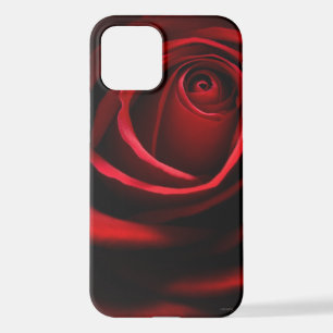 Rote Rose iPhone 12 Hülle