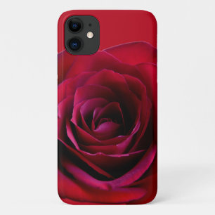 Rote Rose iPhone Hüllen Rosen iPhone Hüllen