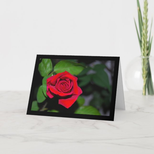 Rote Rose Karte (Vorderseite)