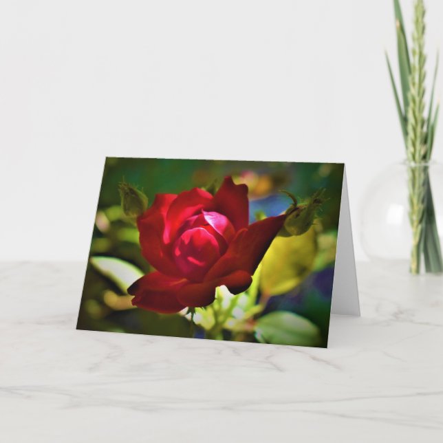 Rote Rose, Karte (Vorderseite)