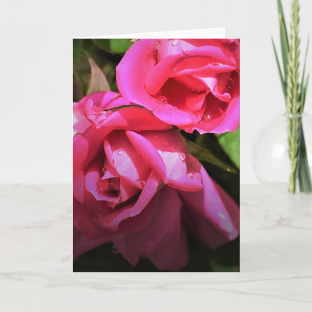 Rote Rose, Karte (Vorderseite)