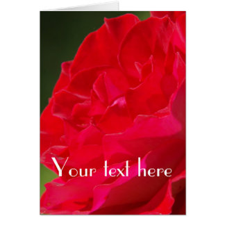 Rote Rose - Karte