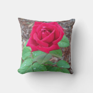 Rote Rose Kissen