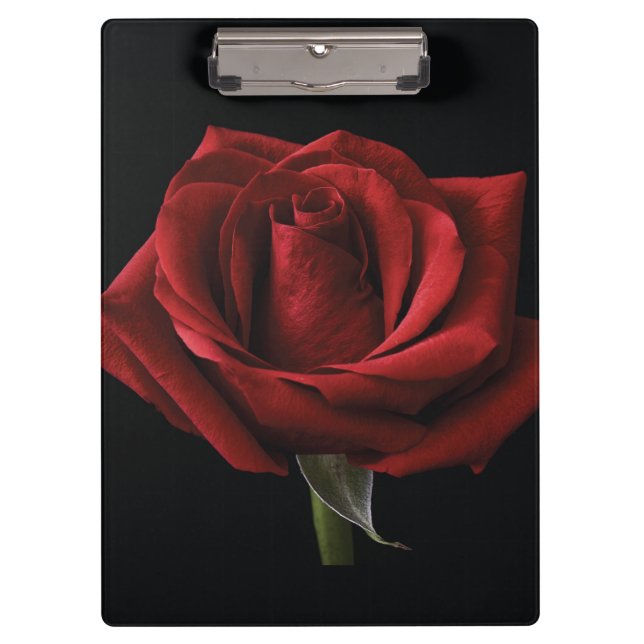 Rote Rose Klemmbrett (Vorderseite)