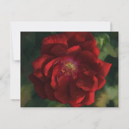 Rote Rose Kunstblume Floral Notizkartenset Mitteilungskarte