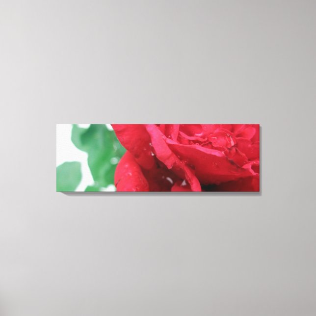 Rote Rose Leinwand (Vorderseite)