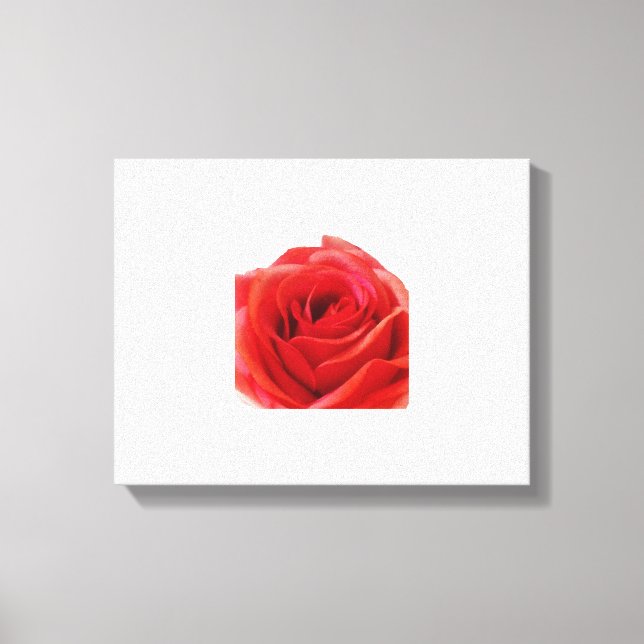 Rote Rose Leinwanddruck (Vorderseite)