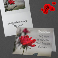 Rote Rose Liebe blüht romantischen Jahrestag