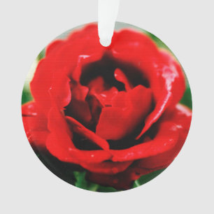 Rote Rose Liebe Ornament