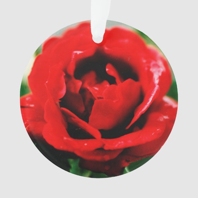 Rote Rose Liebe Ornament (Vorderseite)