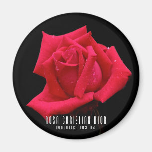 Rote Rose Magnet