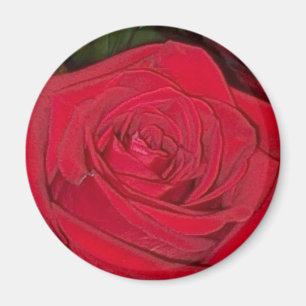 Rote Rose Magnet