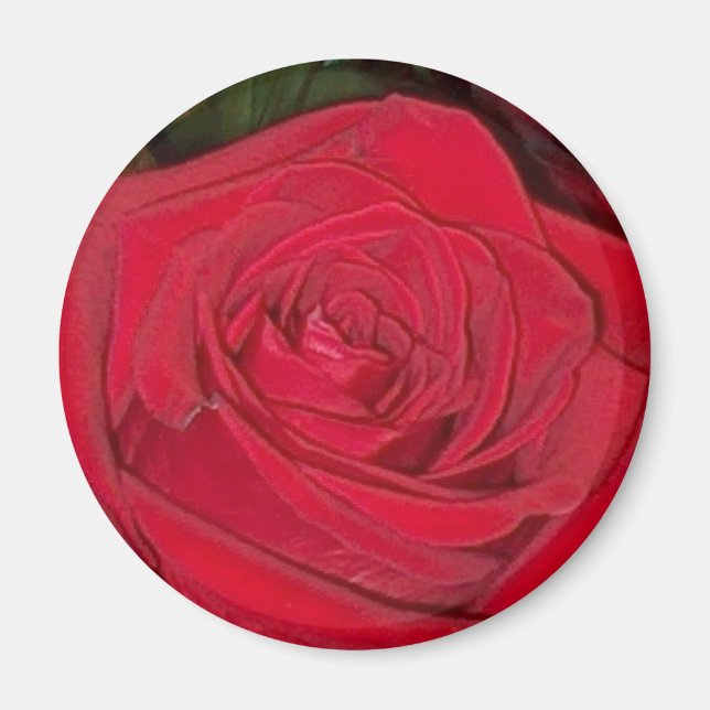 Rote Rose Magnet (Vorne)
