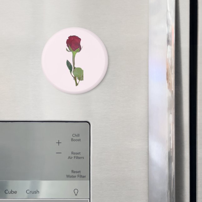 Rote Rose Magnet (In Situ (Kühlschrank))